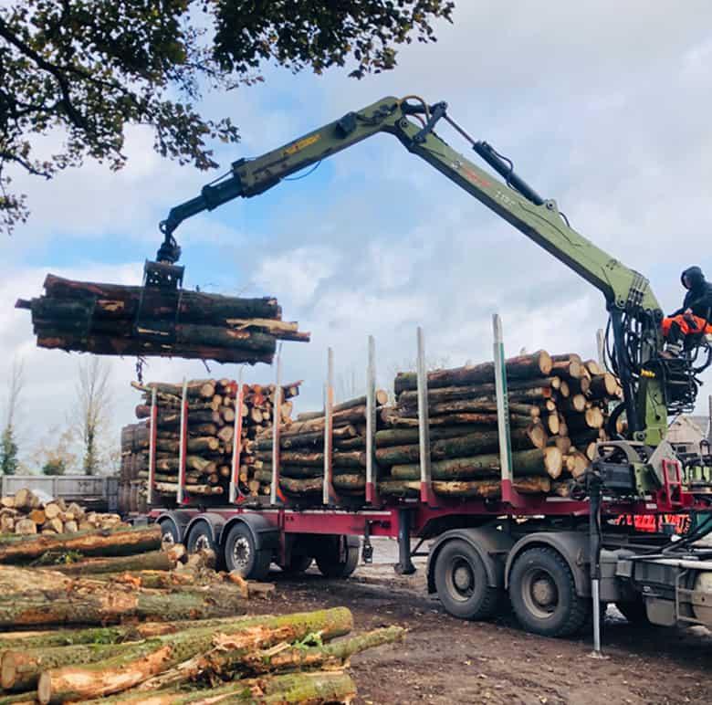stacking logs onto trailer